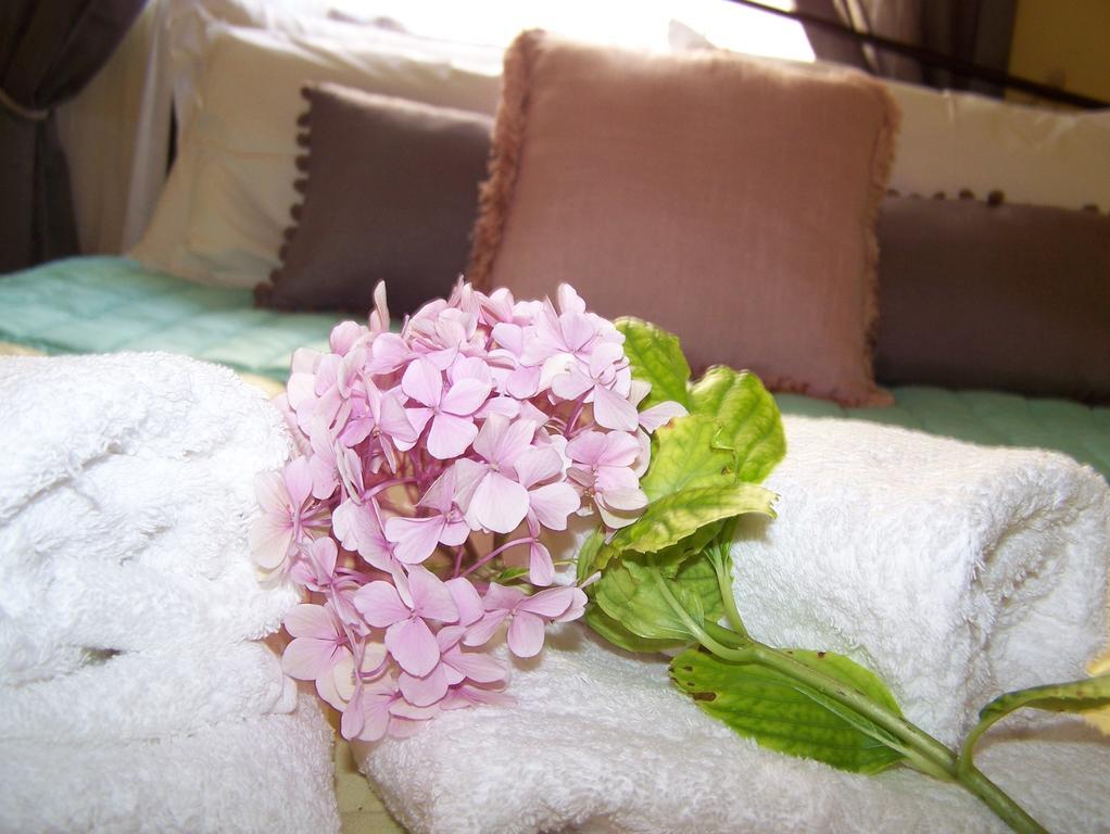 Diavatiko Guest House Stemnitsa Luaran gambar